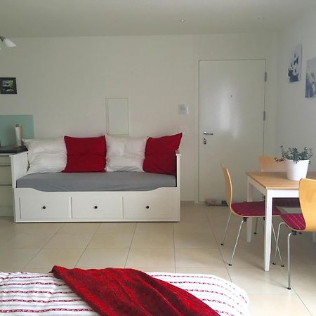 Charming Studio Near Rotsee Lucerne Kitchen/Wifi/Wasching Machine Ngoại thất bức ảnh