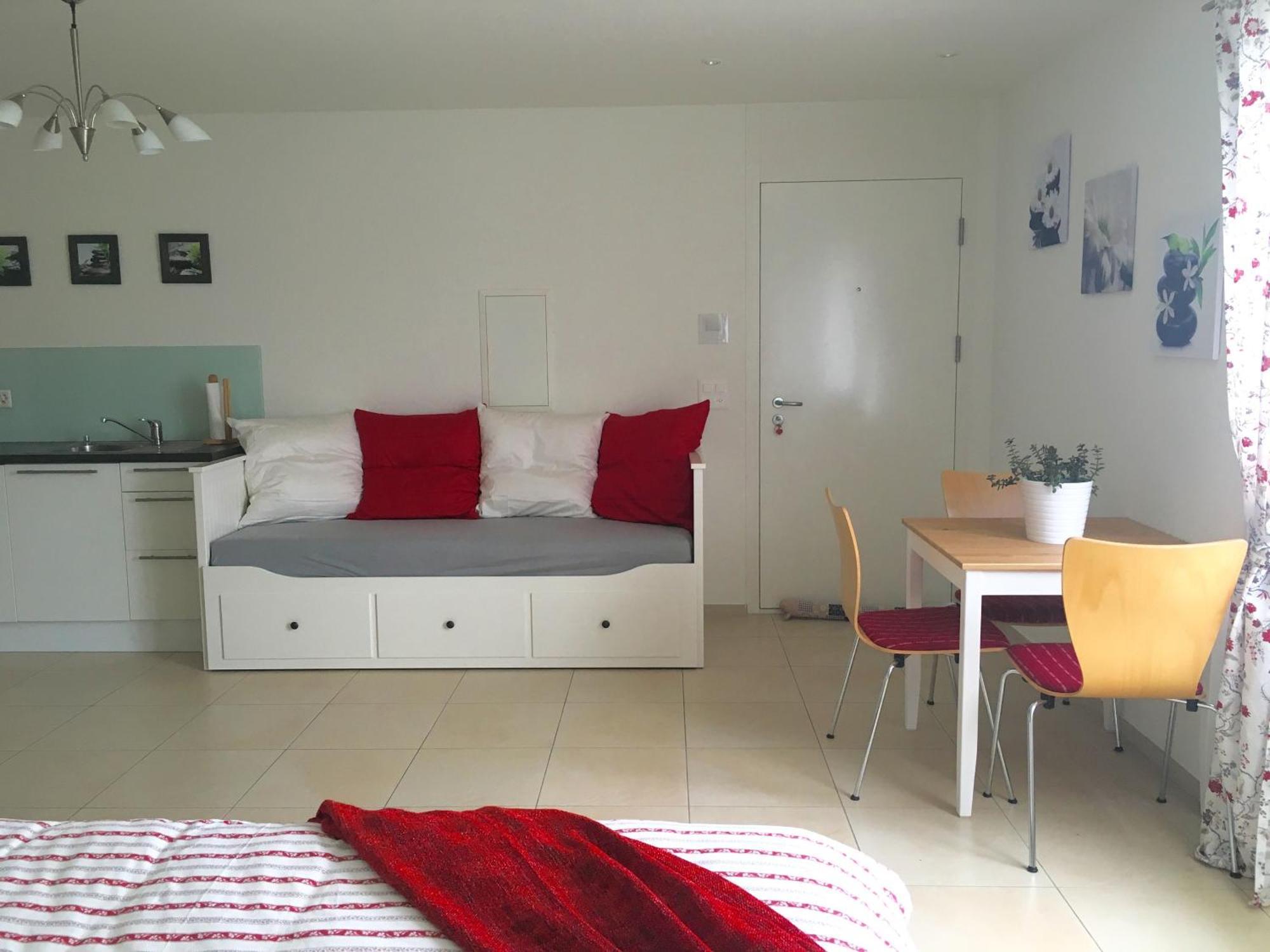 Charming Studio Near Rotsee Lucerne Kitchen/Wifi/Wasching Machine Ngoại thất bức ảnh