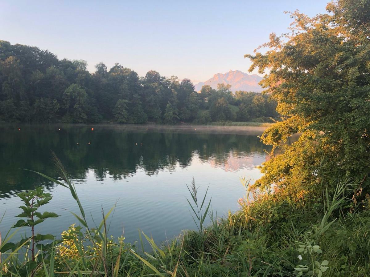 Charming Studio Near Rotsee Lucerne Kitchen/Wifi/Wasching Machine Ngoại thất bức ảnh